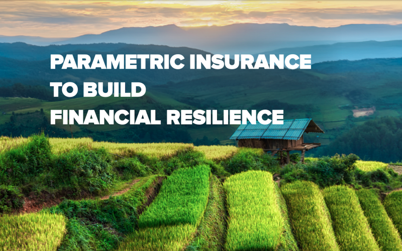 Building Financial Resilience through Parametric Insurance Add to Default shortcuts Primary tabs View Edit(active tab) Delete Manage display Revisions Replicate