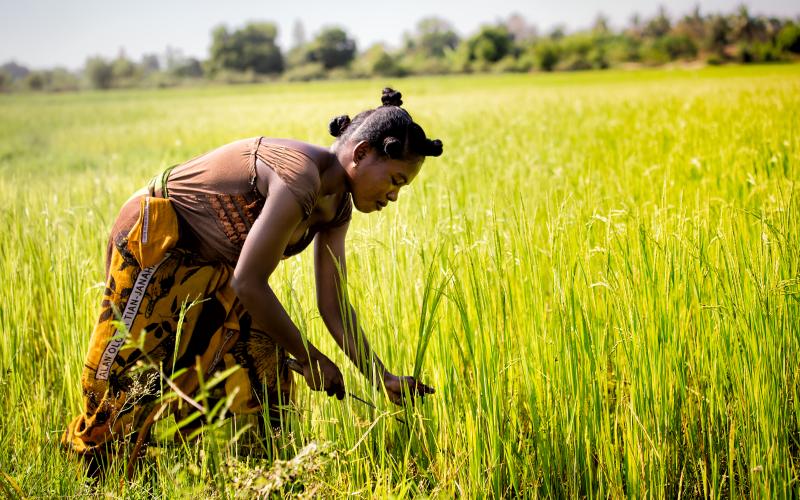 woman farmer