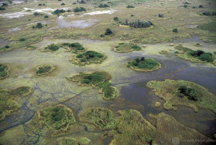 Botswana: Rains Drown Crops, Kill Livestock in Kgatleng 