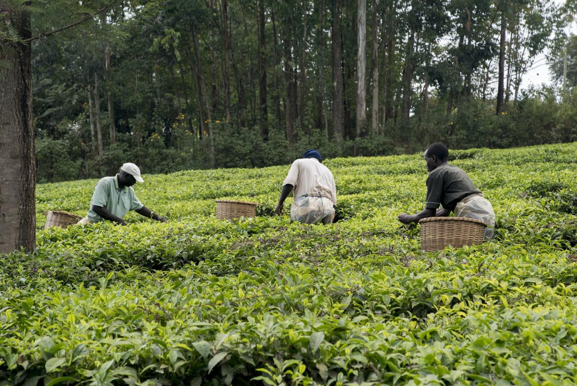 Access to Agriculture Finance | Kenya Television Network (KTN) News TV Channel