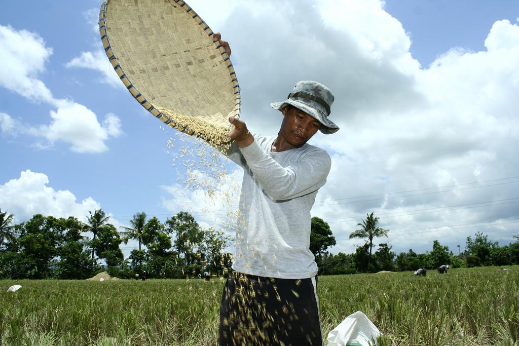 10 Billion Peso to Recapitalize Philippine Crop Insurance Corp Pushed 