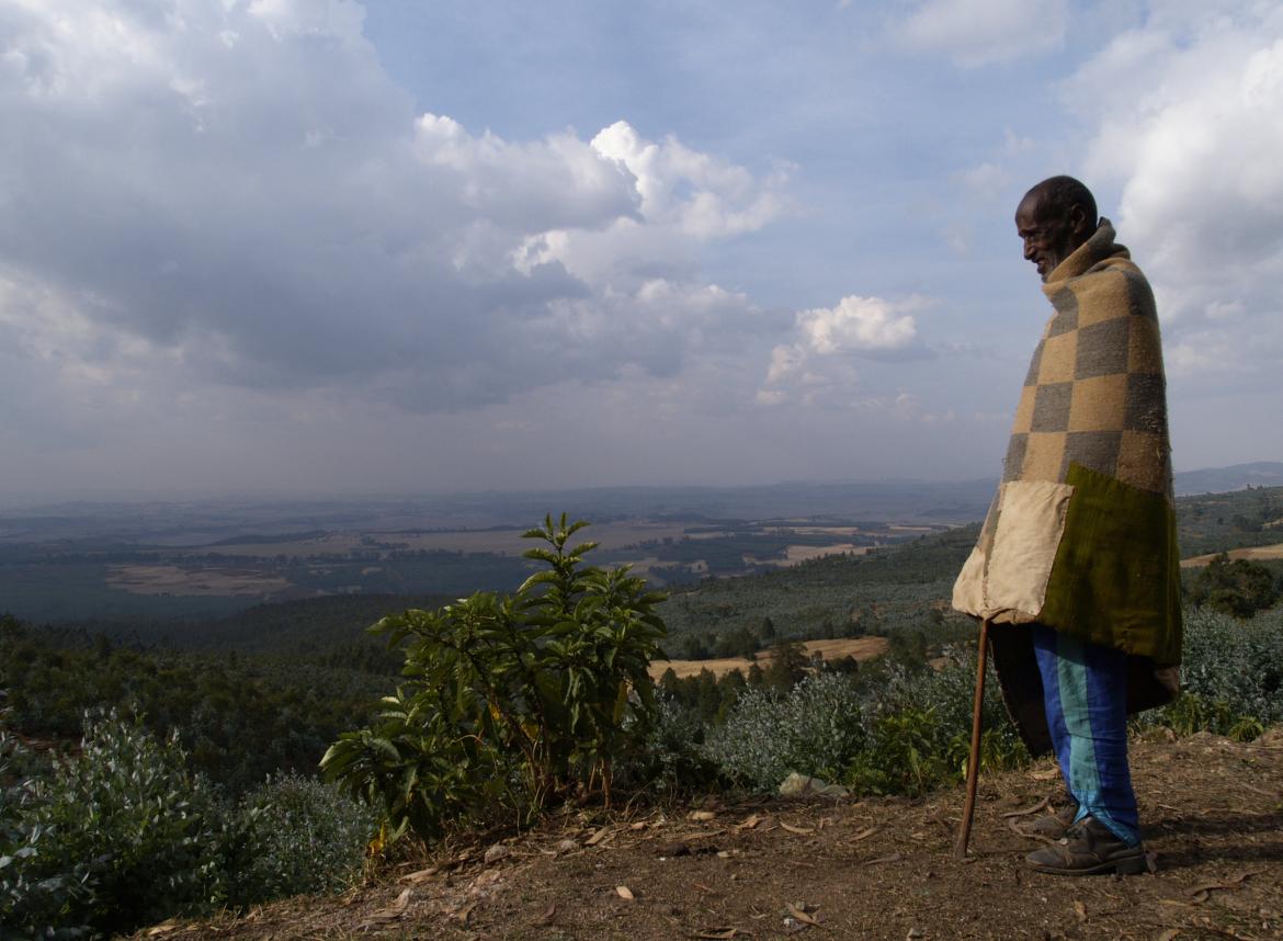 Designed in Davos, Tested in Zimbabwe: Insurers are Banding Together to Pioneer Crop Insurance in Africa