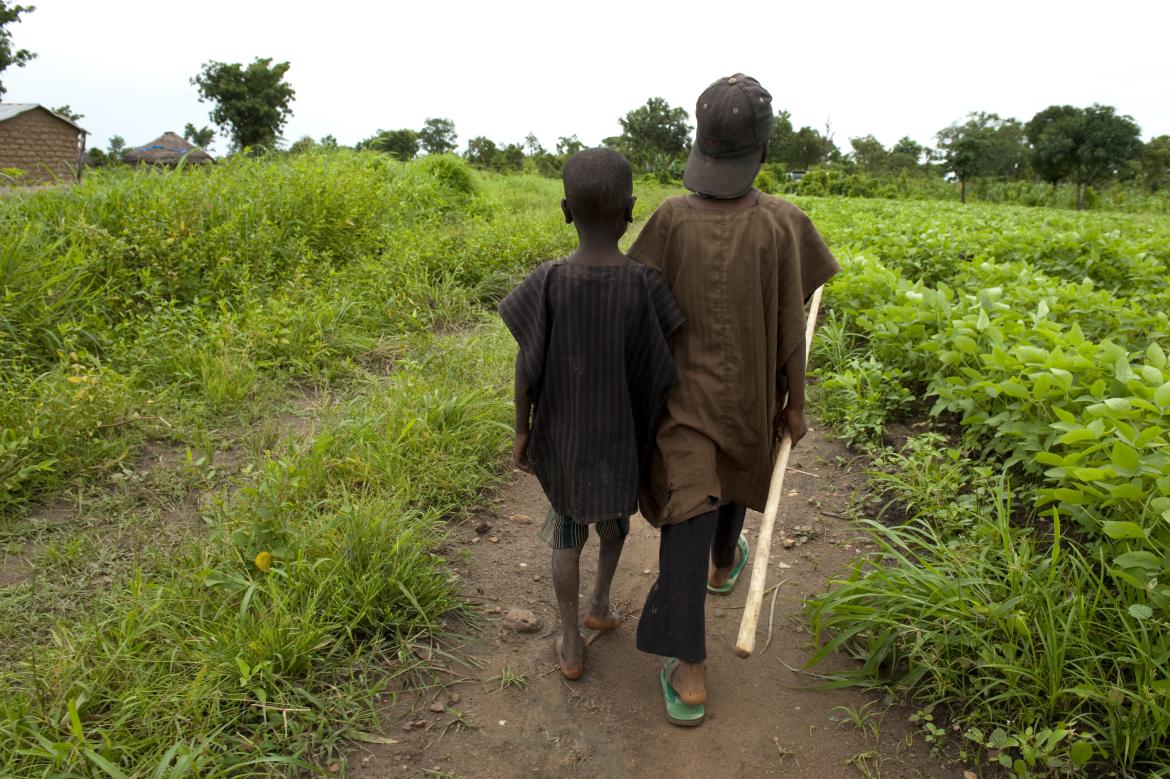 The Effectiveness of Index-Based Micro-insurance in Helping Smallholders Manage Weather-Related Risks