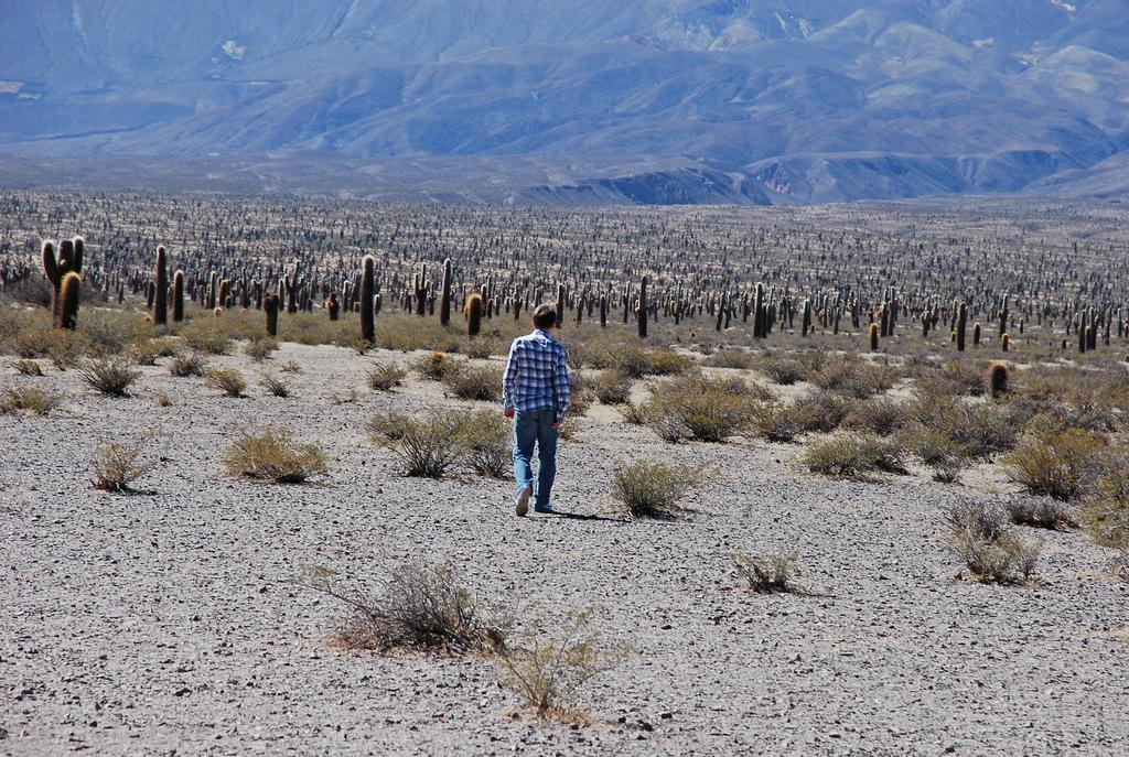 Farmers who Took Up Crop Insurance Say it Helped Them Sleep at Night