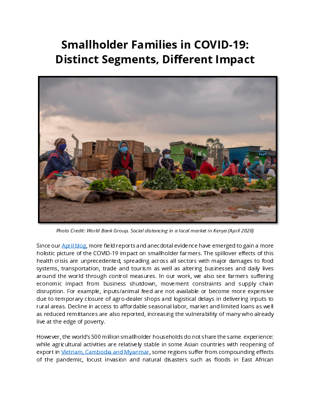 Smallholder Families in COVID-19:  Distinct Segments, Different Impact