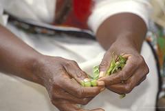 How To Dodge A Drought Zambia-style