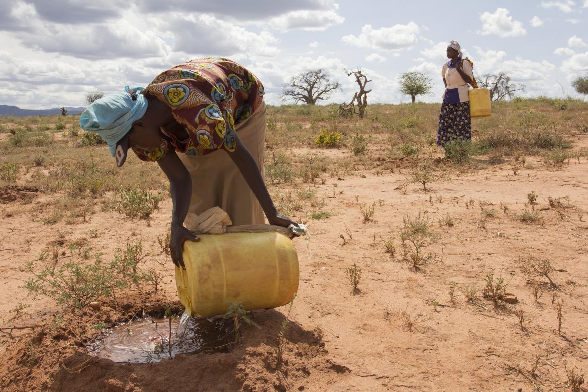 Kenyan Herders Have Received Insurance Payouts amid Drought