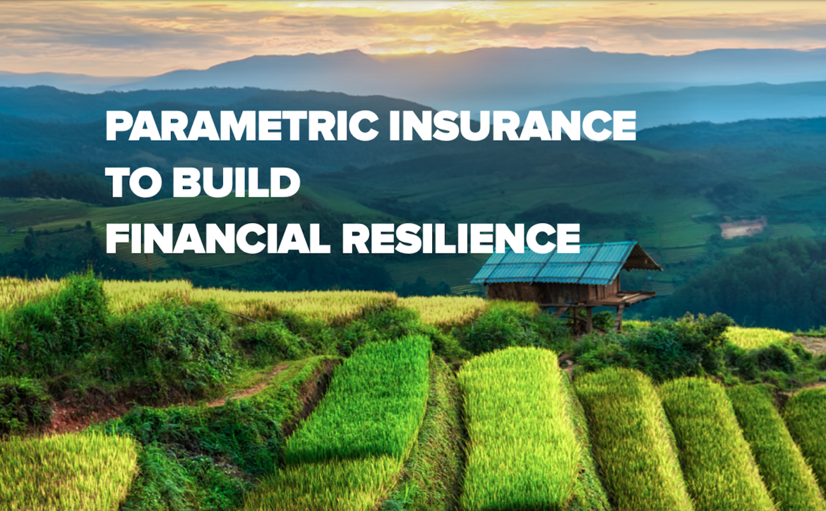 Building Financial Resilience through Parametric Insurance Add to Default shortcuts Primary tabs View Edit(active tab) Delete Manage display Revisions Replicate