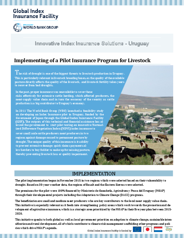 Innovative Index Insurance Solutions – Uruguay 