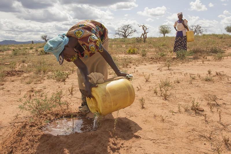 Women watering mukau sapplings in Kenya's arid Eastern Province