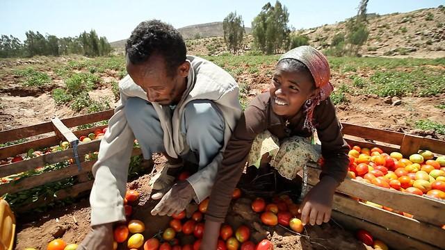 InsuResilience Global Partnership Announced Vision 2025 at UN Climate Action Summit