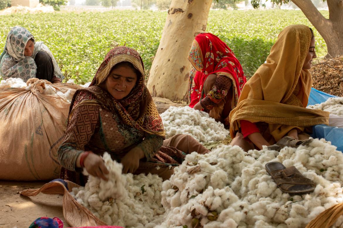 GIIF in Pakistan: Offering Smart Agriculture Insurance Solutions to Climate Change and Disasters