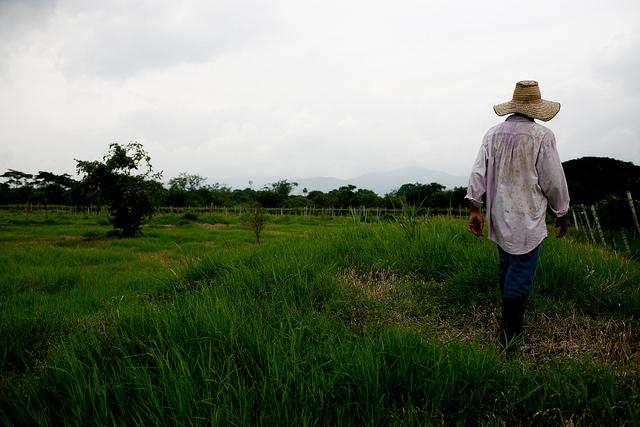 Improving Access to Insurance for the Low-Income Population in Jamaica 