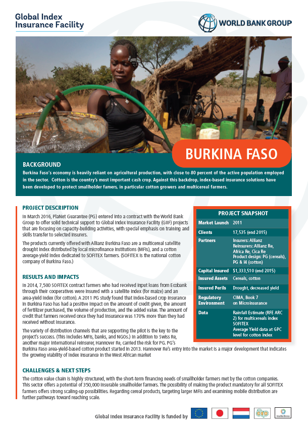 GIIF Country Profile: Burkina Faso