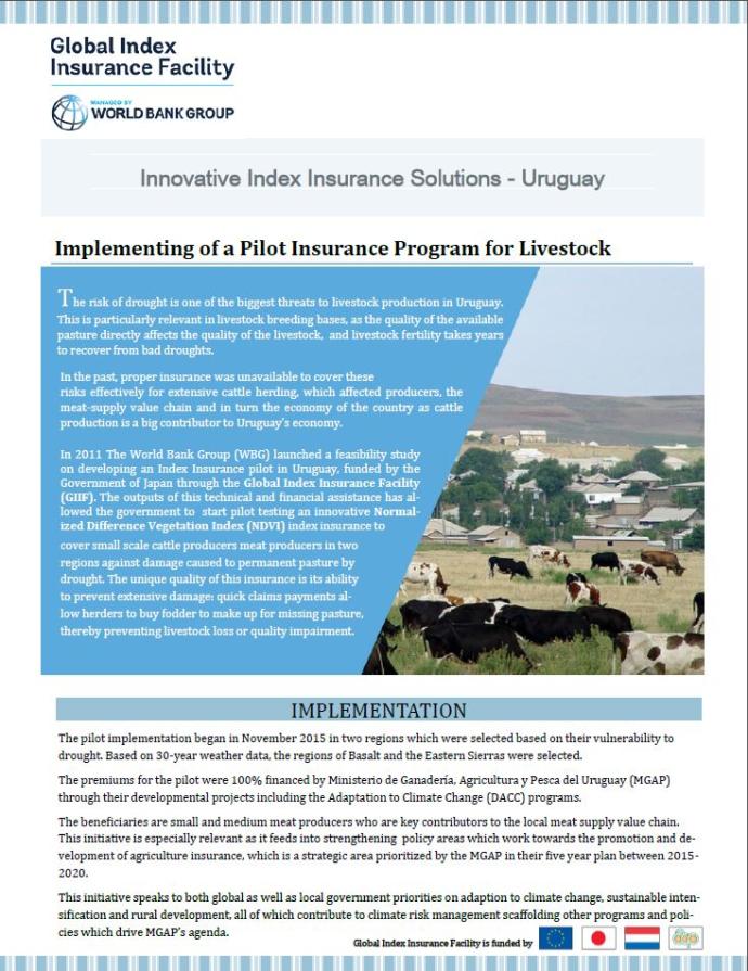 Innovative Index Insurance Solutions – Uruguay 