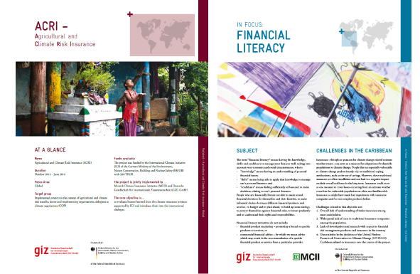 (C) World Bank Group Guide to Factsheets and InFocus Documents
