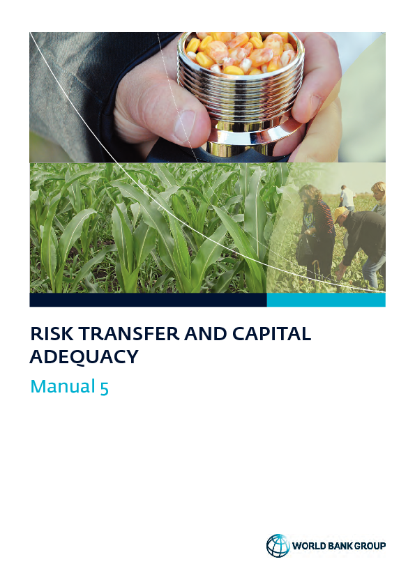 Risk Transfer and Capital Adequacy – Manual 5
