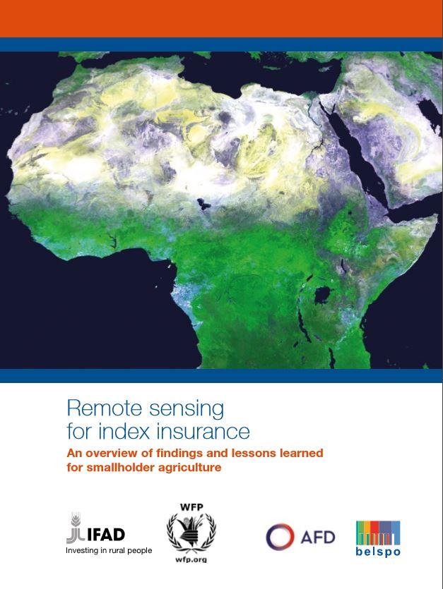 Remote Sensing for Index Insurance: An Overview of Findings and Lessons Learned for Smallholder Agriculture 